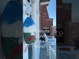My Favorite Sound In the World