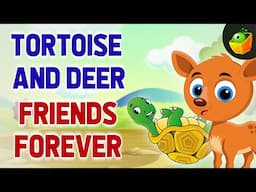 Tortoise Stories | English Tortoise Short Stories | The Slow and Steady Show |The Tortoise Diaries