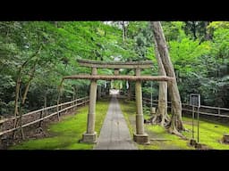Live Tokyo Suburban Weekend Walk - Cute Streets and Moody Shrines in Kitami