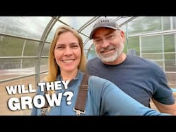 Setting Up Our DIY Seed Starting HOT BED 🌱