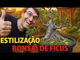 ESTILIZAÇÃO VIETNAMITA DE BONSAI – Ficus microcarpa em Foco!!!