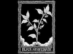 BLACK NIGHTSHADE T-SHIRTS