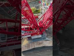 Want To Look At The Crane? #educationalvideosforchildren  #crane #childrenseducation