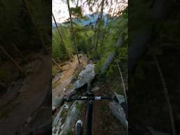 Legendary trail just got an update!
