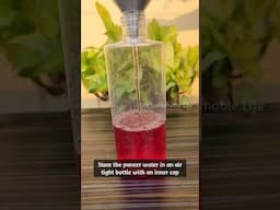Pooja Paneer water #pooja #welcome #bioenzyme #shorts