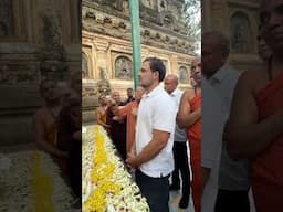 At Mahabodhi: A Moment of Peace in Bodh Gaya, Bihar