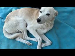 April Suffered So Much in Life But She’s Happy Now - Takis Shelter