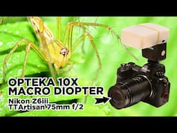 OPTEKA 10x Macro Diopter on Nikon Z6iii