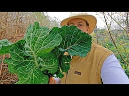 Plant These Seeds ONCE And Harvest FREE Food For Life!