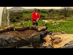 Creating a BEAUTIFUL Garden, Tree Lined Drive and Pond