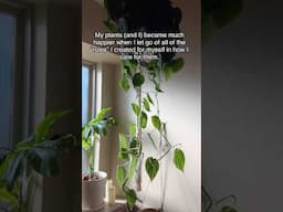 Let go of houseplant rules that no longer serve you 🌿 #houseplantcaretips