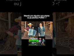Corre assistir o clipe novo PLANTANDO FUMO do Adson & Alana !