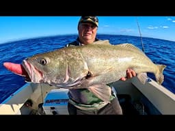 Turning small livebaits into reef GIANTS!!