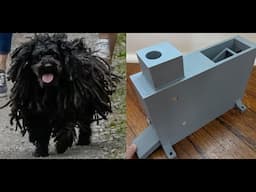 DIY Dog Treat Launcher Toy