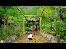 Building Stone Fences, Planting Decorative Flowers, Family Farm