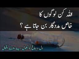 ALLAH Se Mohabbat Aur Hum | Love Quotes in Urdu | Amazing Quotes about Allah and Love in Urdu Hindi
