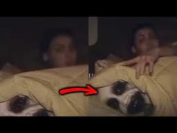 AWALNYA PRANK, MALAH KESURUPAN! 10 Rekaman Video Creepy Dari Internet!
