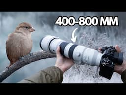Relaxing POV Nature Photography | Birds in a Frozen Landscape