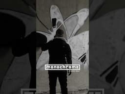 🔥 NEW! Monochrome 111 - Styler The Creator | SPRAY DAILY #graffiti