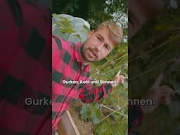 Vom Rasen zum #Selbstversorger – mein erster Gartenversuch in Nordspanien #Gartenprojekt