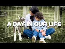 a day in our life | Farmer’s Market, Goat Farm & Pizza Making