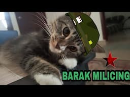 BARAK MILITER ALA KUCING | BARAK MILICING