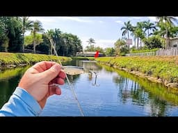 Fishing TINY Ditches in SOUTH FLORIDA for a Fish of a LIFETIME!!