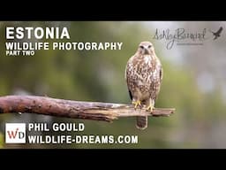 Wild Estonia  - A World Class Photography Wildlife Hide