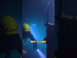 🤔 Are CAVE Divers Not Scared? #cavediving #scubadiving #technicaldiving #underwater