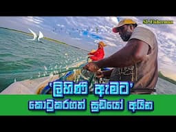 The Amazing Net Fishing In Sea | Sardinella Fishing: Huge Haul  | SL Fisherman