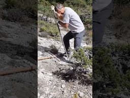 Comment prélever un Yamadori à la barre à Mine ?