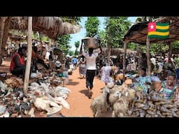 massive rural village market day in Togoville southern Togo West Africa 🌍.