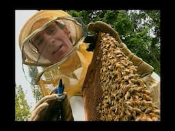 Bill Nye The Science Guy - S02E11 - Insects - Best Quality - 4K UPSCALED
