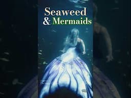 Mermaids in Seaweed (Celtic Music & Mermaids Compilation Video)