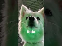 I'm Big. You're little.