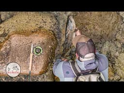 Exploring New Zealand’s Best Fly Fishing Waters with Brian O’Keefe