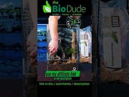 BEST Bioactive Supplies for Tarantulas!