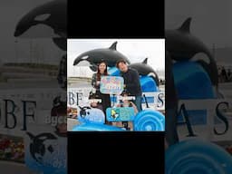 Happy 50th BD to my Darling🎉 4/4 Kobe Suma Sea World 神戸須磨シーワールド Orca オルカ Dolphin イルカ  @ochikeron