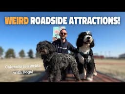 Weird Roadside Attractions + TORNADOS in Kansas! | Pet Transportation Vlog