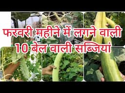 फरवरी महीने में लगने वाली सब्जियां। garden tips #kiranskitchengarden