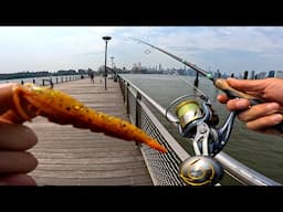 Exploring East River Fishing NYC With Shrimp Lures