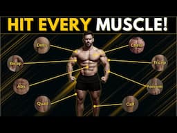 THIS IS the #1 Exercise for Every Muscle Group (No BS Guide)