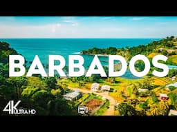 Top 10 Best Things to Do in Barbados [Barbados Travel Guide 2025]