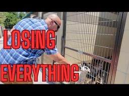 THE PAINFUL TRUTH: PEOPLE ARE LOSING EVERYTHING EVEN THEIR PETS