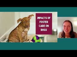 Exploring efficacy, barriers & best practices of companion animal foster caregiving - MI webcast