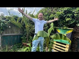 M dot R GROWING TROPICAL PLANTS IN UK !