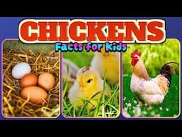 Fun FACTS About Chickens You Never Knew 🐓 | Facts for Kids