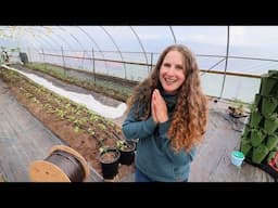 I've Been Waiting for This Day! | High Tunnel Layout, Drip Irrigation & Smart Upgrades
