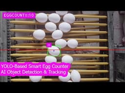 YOLO-Based Smart Egg Counter | AI Custom Object Detection & Tracking