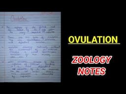 OVULATION NOTES ||BSC 1st year zoology Notes #zoology #notes #skmu #bhu #mu